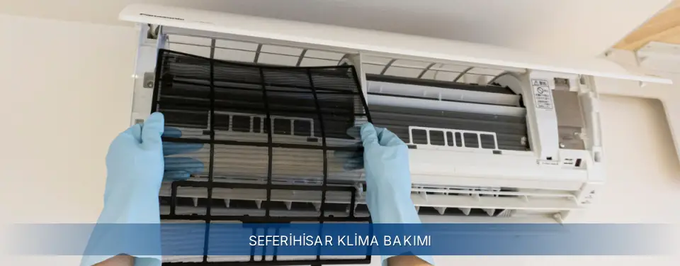 Seferihisar İlçemi Electrolux Klima Bakımı