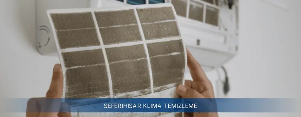 Seferihisar İlçemi Electrolux Klima Temizleme